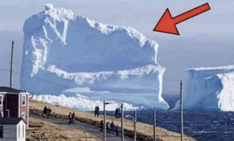 Iceberg Floats Near The Local Village When People See What S On It   Image 188 